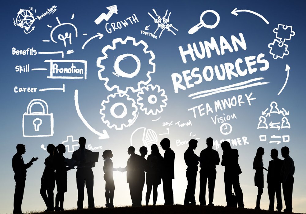 s2a-hr-and-staffing-services